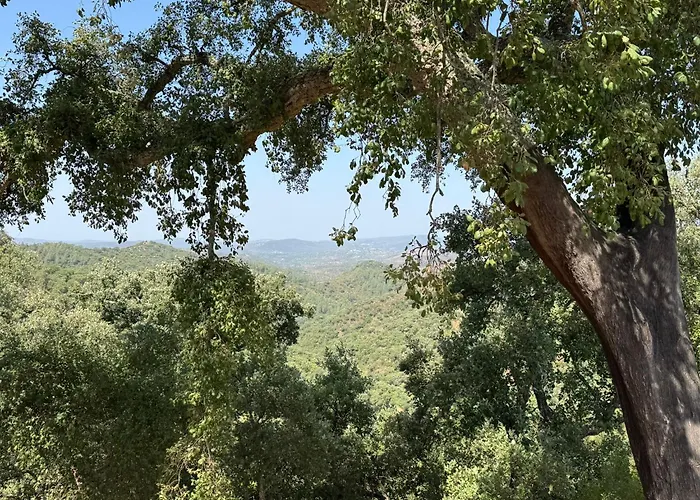 Spot Na Serra Gasthof Loulé