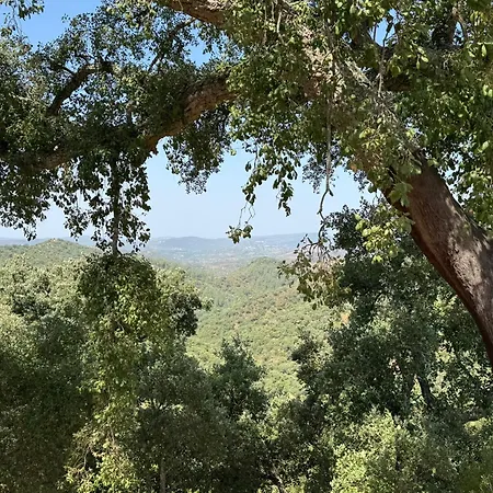 Spot Na Serra Gasthuis Loulé